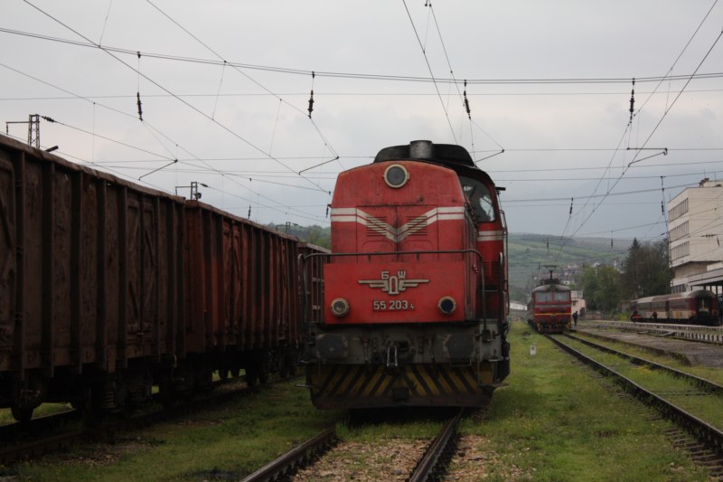 55203